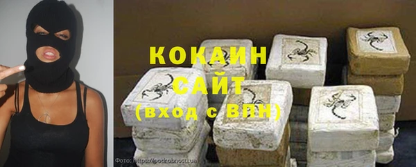 сатива Арсеньев