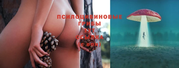 сатива Арсеньев
