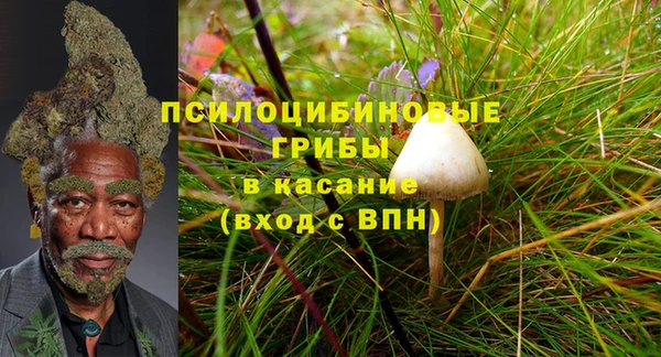 гидропоника Алзамай