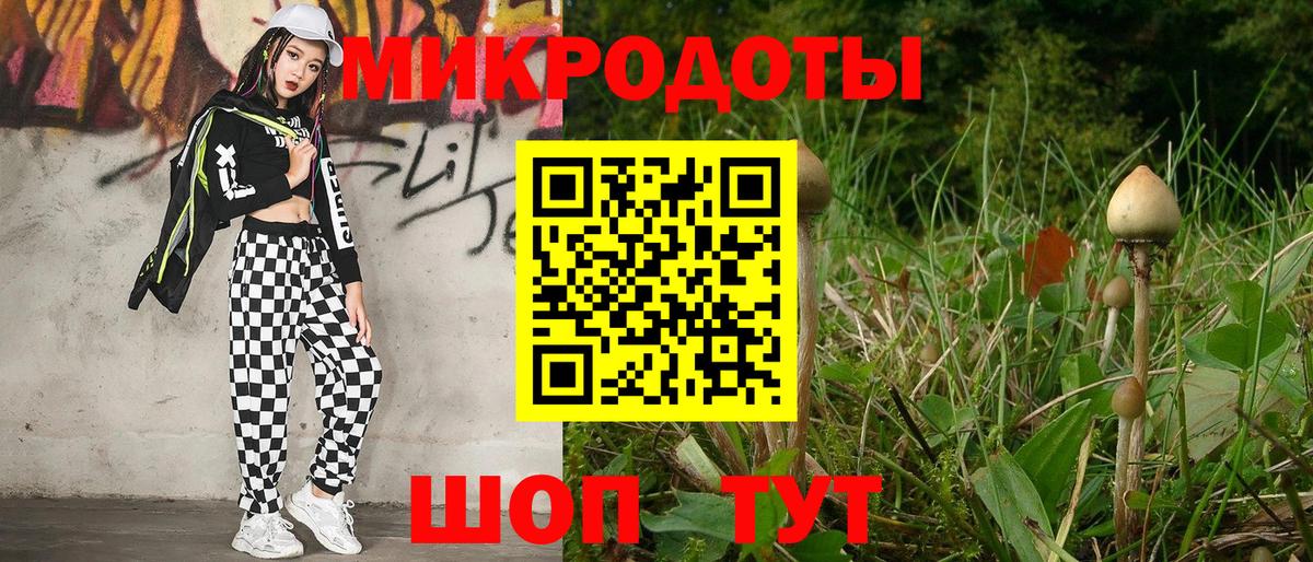 Галлюциногенные грибы Magic Shrooms  Вход с VPN  Волгодонск  Псилоцибиновые грибы Psilocybine cubensis 