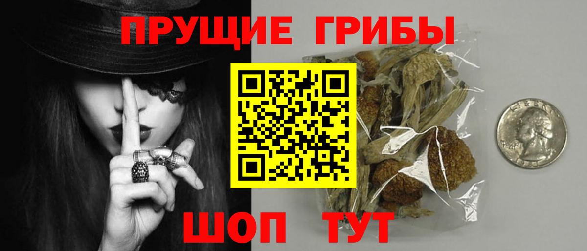 Галлюциногенные грибы Cubensis Волгодонск